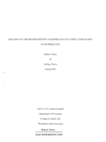 Realism and the incompleteness theorems in Kurt Godel's philosophy of mathematics