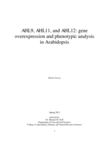 AHL9, AHL11, and AHL12: gene overexpression and phenotypic analysis in Arabidopsis