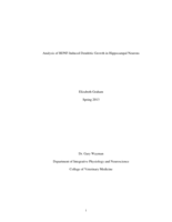 Analysis of BDNF-Induced dendritc growth in hippocampal neurons