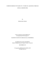 Compound droplet dynamics of a tumor cell squeezing through conical microfilters