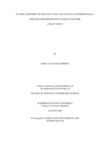 Plasma lipidomics in healthy foals and in foals experimentally infected with Rhodococcus equi over time: a pilot study