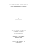 Characterization of the Adsorbed Species of Molecular Iodine on Metal Substrates