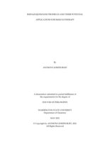 IMIDAZOQUINOLINE PRODRUGS AND THEIR POTENTIAL APPLICATIONS FOR IMMUNOTHERAPY