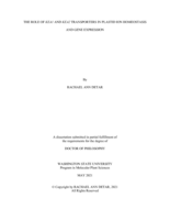 THE ROLE OF KEA1 AND KEA2 TRANSPORTERS IN PLASTID ION HOMEOSTASIS AND GENE EXPRESSION