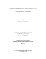 Resilience and Persistence of Undocumented College Latinx Students in Rural Areas