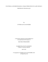FUNCTIONAL AND IMMUNOLOGICAL CHARACTERIZATION OF CLAMP AND RAP-1 PROTEINS IN THEILERIA EQUI