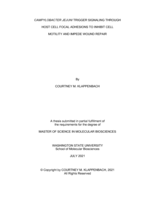 Campylobacter jejuni trigger signaling through host cell focal adhesions to inhibit cell motility and impede wound repair