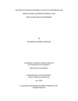 The Role of Central Metabolic Plasticity and Molecular Iron in Coxiella burnetii Intracellular Replication and Pathogenesis