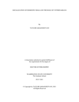 Socialization of domestic dogs and the role of veterinarians