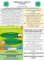 Thurston County 4-H LINK, December 11, 2020