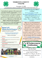 Thurston County 4-H LINK, November 25, 2020