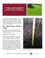 Watering lawns in Washington to save water, save money, and have a healthy, green lawn