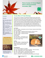Pierce County 4-H Clover Report News and Announcements, November 2020