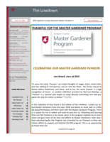 Lowdown, November 2020