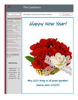 Lowdown, January 2021