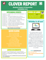 Klickitat Clover Report, November 2020