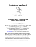 Parmelia barrenoae, a macrolichen new to North America and Africa