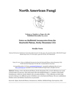 Notes on Mollisioid Ascomycetes from the Beartooth Plateau, Rocky Mountains USA