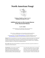 Additional notes on the Lycoperdaceae of the Beartooth Plateau