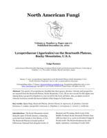 Lycoperdaceae (Agaricales) on the Beartooth Plateau, Rocky Mountains, U.S.A