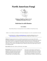 Galerinas in cold climates