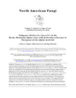 Subgenus Mallocybe (Inocybe) in the Rocky Mountain alpine zone with molecular reference to European Arctic-alpine material