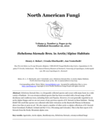 Hebeloma hiemale Bres. in Arctic/Alpine Habitats