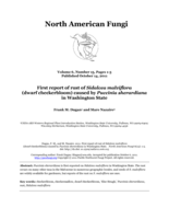 First report of rust of Sidalcea malviflora (dwarf checkerbloom) caused by Puccinia sherardiana in Washington State
