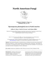 Pyrenopeziza plantaginis new to North America