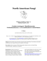 Caripia montagnei (Basidiomycota: Tricholomataceae s. l.) in southeastern United States