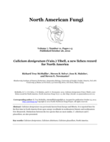 Calicium denigratum (Vain.) Tibell, a new lichen record for North America