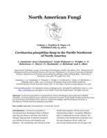 Cortinarius pinophilus Soop in the Pacific Northwest of North America