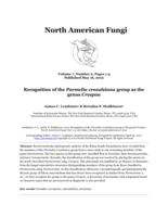 Recognition of the Parmelia crozalsiana group as the genus Crespoa