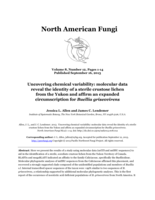 Uncovering chemical variability: molecular data reveal the identity of a sterile crustose lichen from the Yukon and affirm an expanded circumscription for Buellia griseovirens