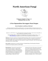 A New Squamulose Sarcogyne from Oregon