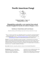 Phytophthora pluvialis, a new species from mixed tanoak-Douglas-fir forests of western Oregon, U.S.A