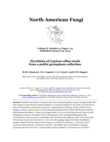 Mycobiota of Lupinus albus seeds from a public germplasm collection