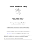 A new species of Gomphus from southeastern United States