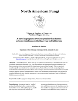 A new hypogeous Peziza species that forms ectomycorrhizas with Quercus in California