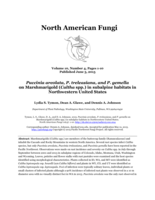 Puccinia areolata, P. treleasiana, and P. gemella on Marshmarigold (Caltha spp.) in subalpine habitats in Northwestern United States