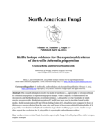 Stable isotope evidence for the saprotropic status of the truffle Schenella pityophilus