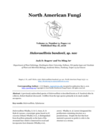 Halorosellinia bandonii, sp. nov