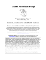 Xanthoria parietina in the Inland Pacific Northwest