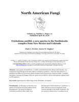 Tricholoma smithii, a new species in the Pardinicutis complex from New Mexico and Colorado