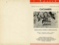 Growing Pickling Cucumbers in Western Washington (Revised)