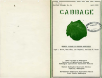 Growing Cabbage in Western Washington