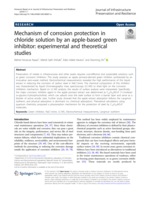 Mechanism of corrosion protection in chloride solution by an apple-based green inhibitor: experimental and theoretical studies