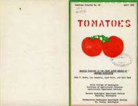 Growing Tomatoes in the Puget Sound Region of Western Washington