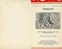 Growing Tomatoes in the Puget Sound Region of Western Washington (Revised)