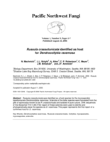 Russula crassotunicata identified as host for Dendrocollybia racemosa